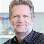 Jörg D. Hoheisel